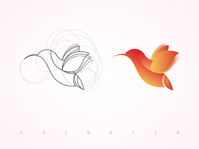 bird bird design illustrator logo web