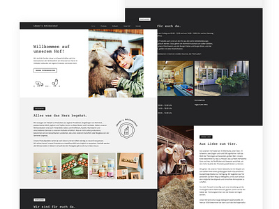 Website Design Farm