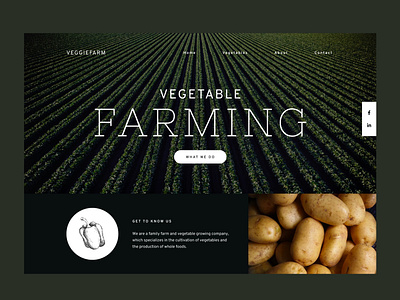 Website Design Veggiefarm farm farming vegetable webdesign website websitedesign