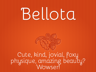 Bellota cute design font sans serif typeface typography
