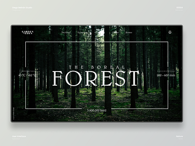 The Boreal forest · UI playground 04 desktop design forest interface interface design landing page landing page design ui ui design uichallenge uidesign uidesigner uiinspiration webdesign webdesigner