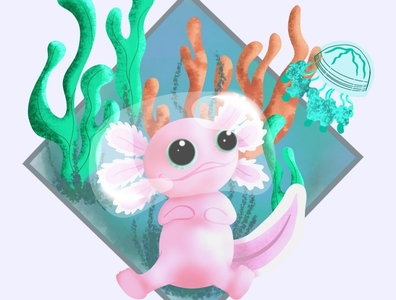 Axolotl by Aline. B on Dribbble