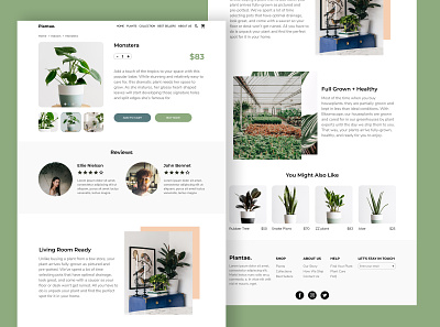 "Plantae." product page branding design flat logo minimal typography ui ux web website