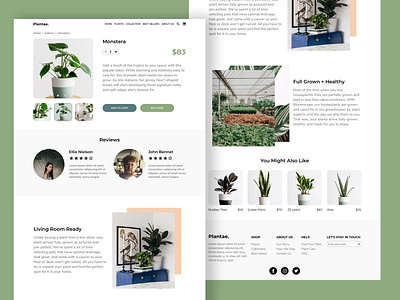 "Plantae." product page