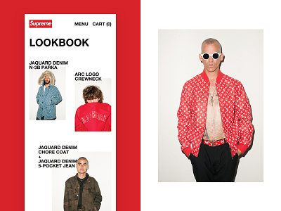 Supreme x Louis Vuitton - Mobile Lookbook by Dario for HY.AM