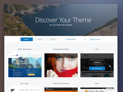 AC Themes blog cms discover popular template themes website