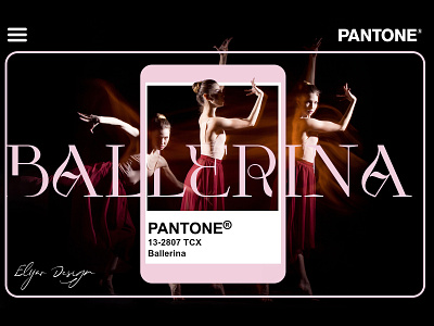 Pantone Ballerina color ballerina color font graphic design pantone