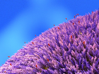 Aliens Around Us 3d b3d blender daily digital flower moss purple render wip