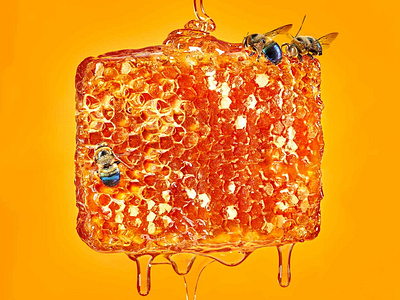 Color Series: Yellow bee hive bees drip food food and beverage food and drink food photographer food photography food styling food stylist gold honey honeybee honeycomb orange surreal yellow