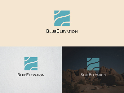 logo design