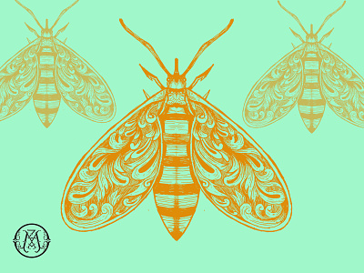 Bee Decorative animation art branding design icon illustration illustrator logo minimal vector