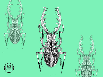 Insect animation art design icon illustration illustrator lettering logo minimal vector