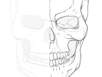 Skull Practice Sketch