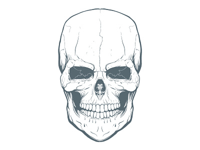WIP Freehand Skull Illustration skull vector wip