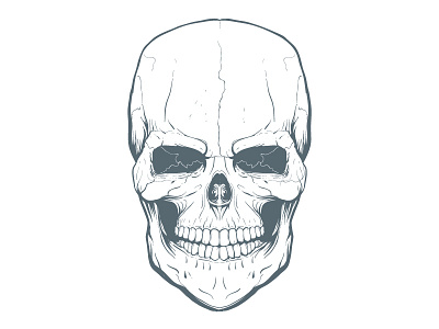 WIP Freehand Skull Illustration