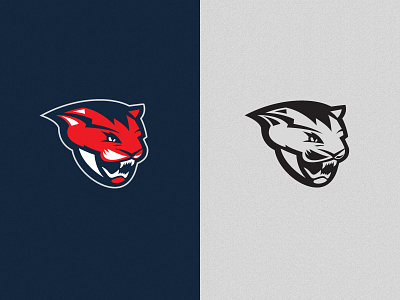 Sports Team Logo Study