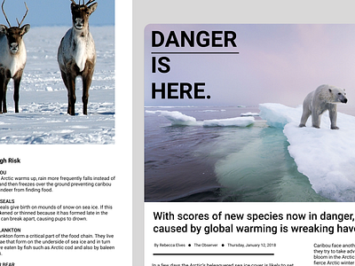 Climate Change Blog Post blog blog design climatechange design ui user experience ux