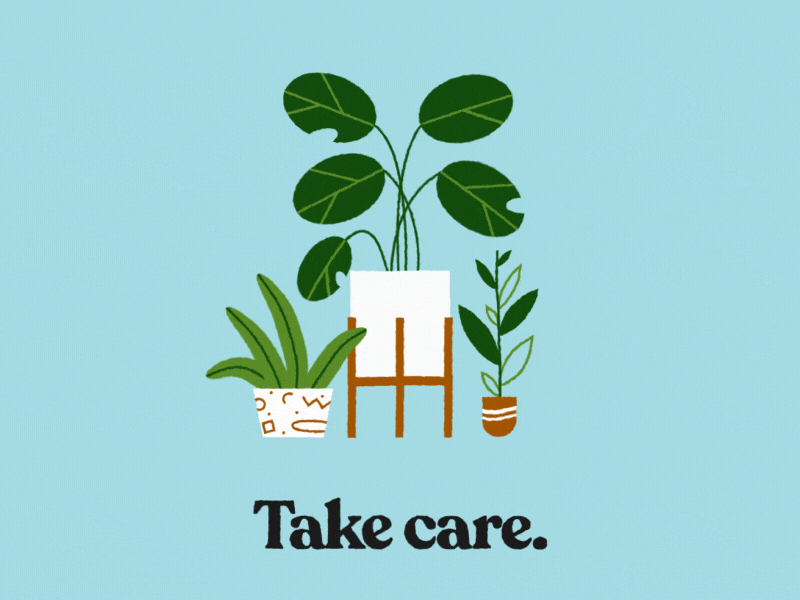 Take Care after effects animation calm covid gif home houseplant illustration motion plants stay home