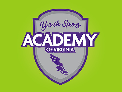 VA Sports Academy games sports virginia