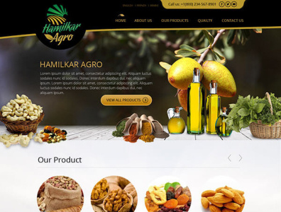 Hamilkar Agro - Logo Design Deck custom website design responsive website designs website design company website design services website designers