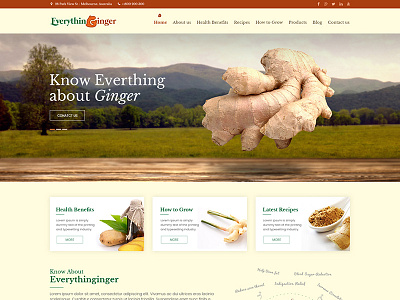 Everything Ginger - Logo Design Deck custom website design responsive website designs website design company website design services website designers