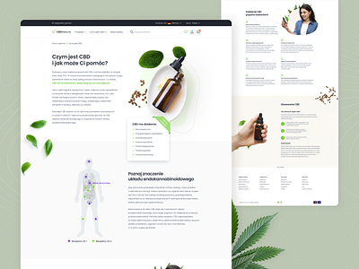 Scientific studies section for a CBD e-commerce platform