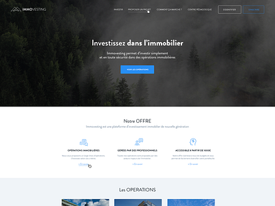 Immovesting webdesign