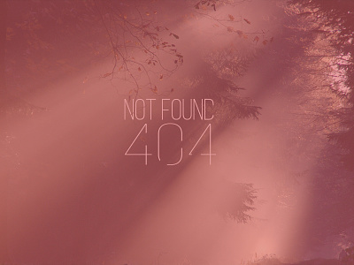 error 404 page not found error 404 ops page not found