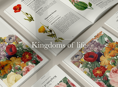The Kingdoms of life book branding concept design flower flowers graphic design kingdom kingdoms life magazine mockups mushrooms plant plants ui vector