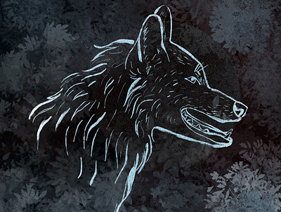 The Wolf animal art animal illustration design illustration procreate procreate art
