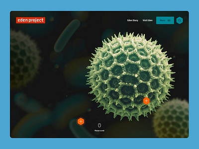 Eden Project Zoom Concept after effects animation bio dome concept digital design earth eden eden project leeds microscopic mock up motion rainforest web design zoom