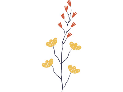 Plant Illustration