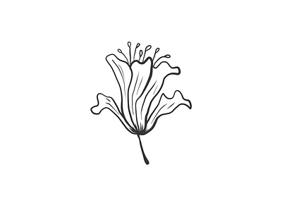 Illustration flowers 🌱 branding design flat garden graphic design icon illustration illustrator leaves logo plant ui vector