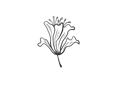 Illustration flowers 🌱