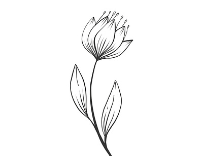 Illustration flowers 🌱 design flower graphic design illustration illustrator vector
