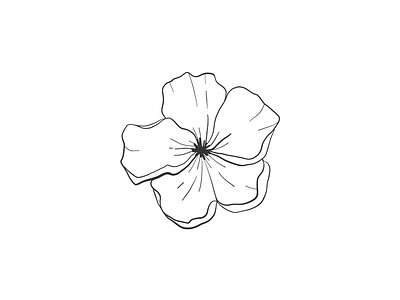 Illustration flowers 🌱 design flower graphic design illustration illustrator plant vector