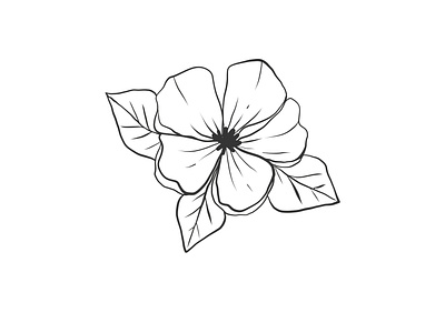 Illustration flowers 🌱 design flower graphic design illustration illustrator vector