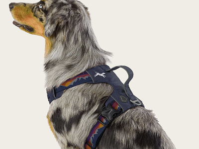 Branding for West Coast CaniX (canicross) branding canicross dog dog logo harness illustration logo design west coast