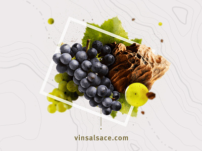 Composition for the official Alsace Wines website graphic design webdesign wine
