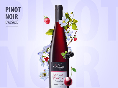 Pinot Noir d'Alsace colors graphic design illustration wine