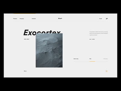 Exo +‎ cortex after effects animation app artifical clean interactive interface minimal nature ui ux web website