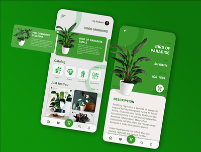 Plant Store UI Design Mobile App design mobile app design mobile design mobile ui ui ui ux ui design uiux ux webdesign website