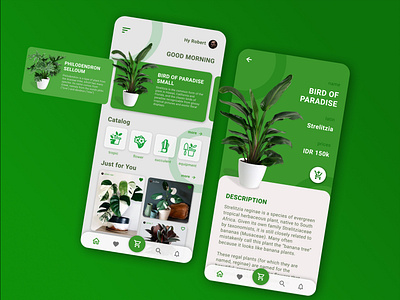 Plant Store UI Design Mobile App