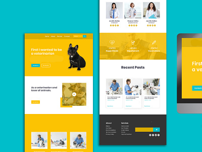 veterinary landing pages concept