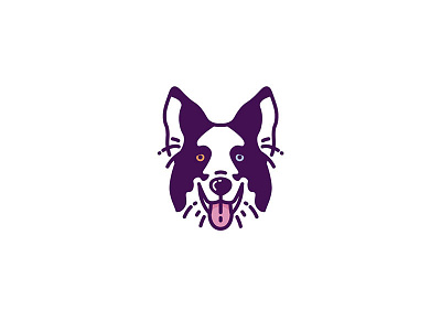 Dogs (Border Collie - 3/6) 🐶 design dog dog icon dog illustration flat graphicdesign icon icon a day icon app icon artwork illustration inspiration inspirational logo typography vector vector art vector artwork