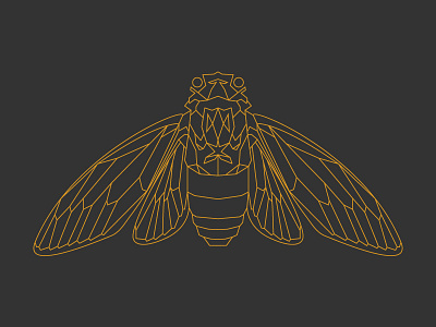 Magicicada Septemdecim bug cicada display gold illustration line line art vector