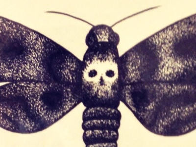Death's-Head Moth art dotwork drawing illustration insect moth nature pen and ink pointillism stippling