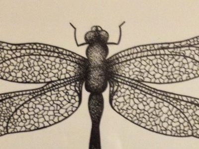 Dragonfly art design dotwork dragonfly drawing illustration insect nature pen and ink pointillism stippling