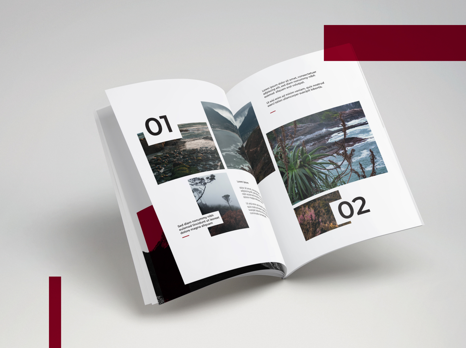 Theron Designs Zine Mockup by Schalk Theron on Dribbble