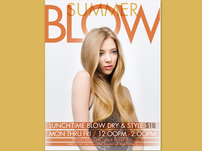 Lunatic Fringe Summer Blow Dry Flyer flyer